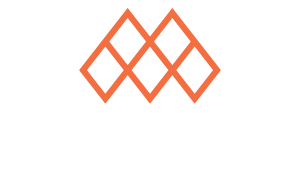 MagneForce Software